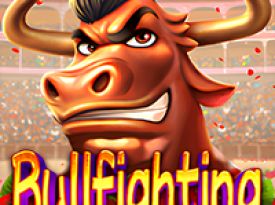 Bullfighting