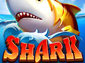 Shark