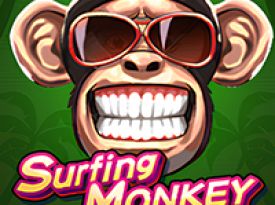 Surfing Monkey
