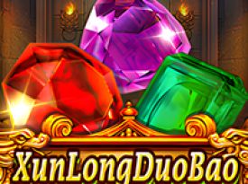 Xun Long Duo Bao