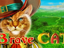 Brave Cat