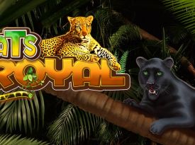 Cats Royal