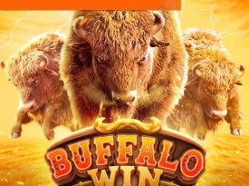 Buffalo Win