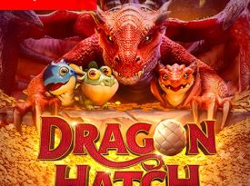 Dragon Hatch
