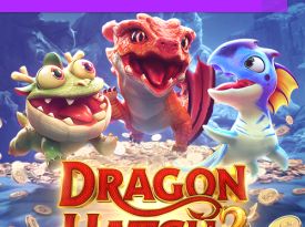 Dragon Hatch2