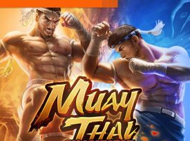 Muay Thai Champion