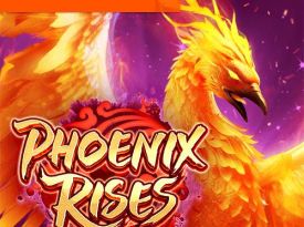 Phoenix Rises