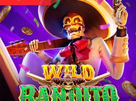 Wild Bandito