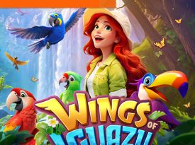 Wings of Iguazu