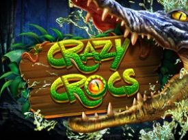 Crazy Crocs