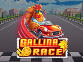 Gallina Race 92