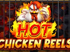 Hot Chicken Reels