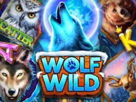 Wolf Wild