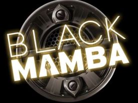 Black Mamba