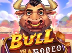 Bull in a Rodeo