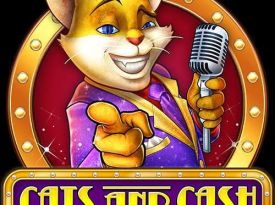 Cats & Cash