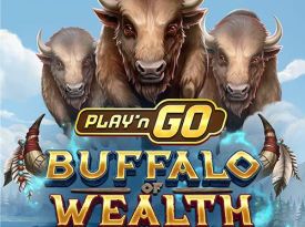 Play'n GO Buffalo of Wealth