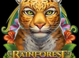 Rainforest Magic
