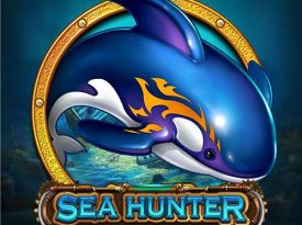 Sea Hunter