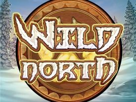Wild North
