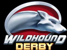 Wildhound Derby