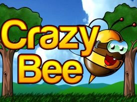 Crazy Bee