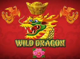 Wild Dragon