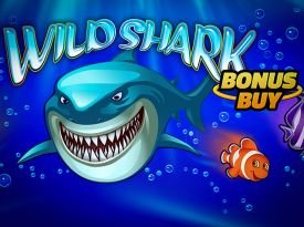 Wild Shark Bonus Buy