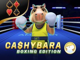 Cashybara Boxing Edition