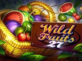 Wild Fruits 27