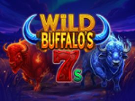 Wild Buffalo's 7's