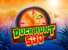 Duck Hunt 500