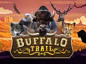 Buffalo Trail Dice
