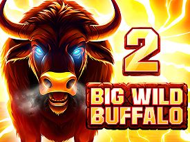 Big Wild Buffalo 2