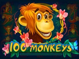 100 Monkeys