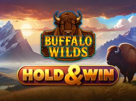 Buffalo Wilds