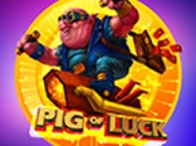 Pig Of Luck