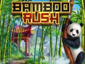 Bamboo Rush