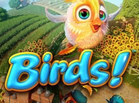 Birds! Windows Phone