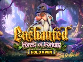 Enchanted: Forest Of Fortune