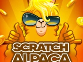 Scratch Alpaca Gold