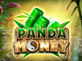 Panda Money