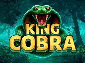 King Cobra