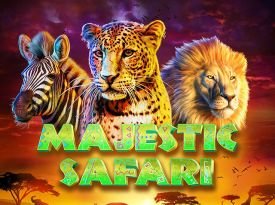 Majestic Safari