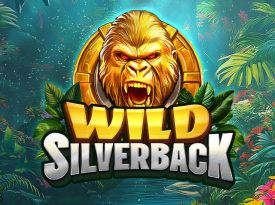 Wild Silverback