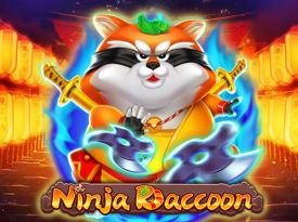 Ninja Raccoon