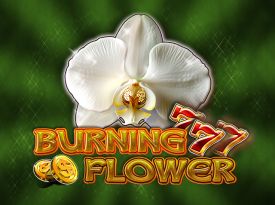 Burning Flower