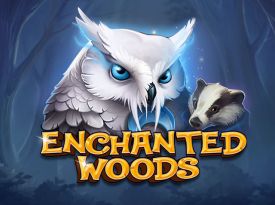Enchanted Woods