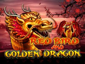 Red Bird and Golden Dragon
