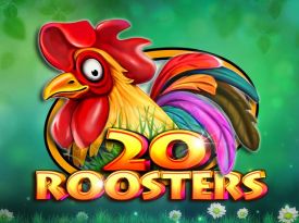 20 Roosters
